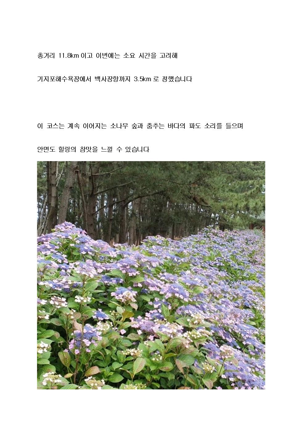 정재영+안면도동작휴양소010.jpg