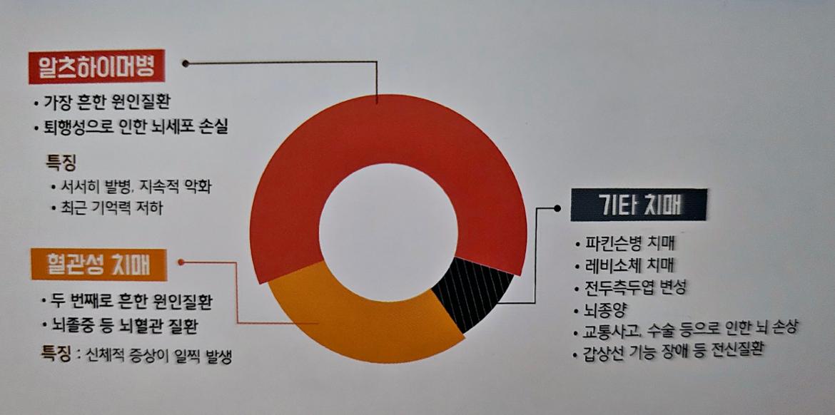 3.치매의+종류.jpg