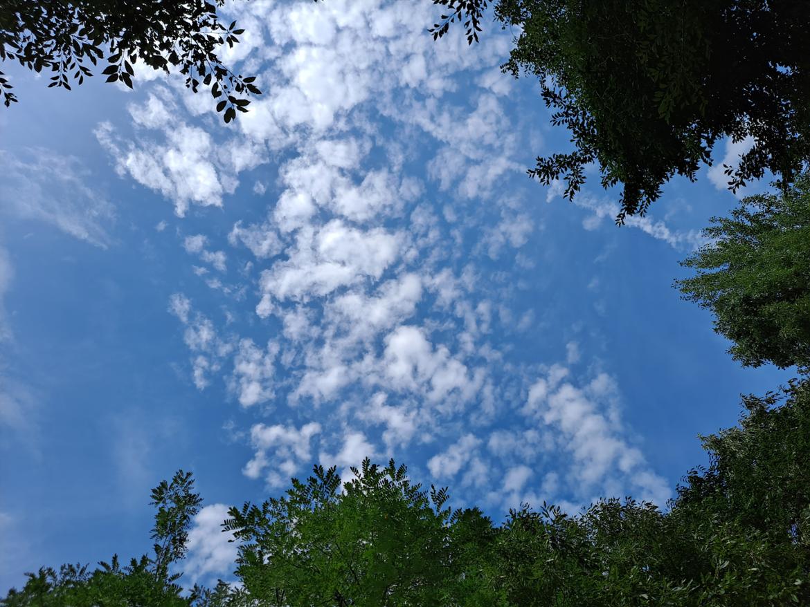 20250730_153009.jpg