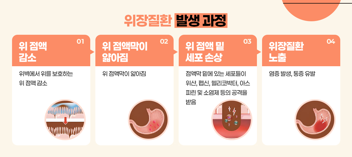 KakaoTalk_20251020_163123377_01.jpg