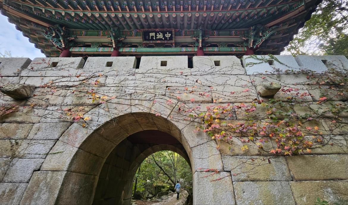 중성문.jpg