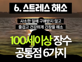 [Shorts] 100세 이상 산 사람들의 공통점 6가지